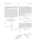 MODIFIED DRUGS FOR USE IN LIPOSOMAL NANOPARTICLES diagram and image