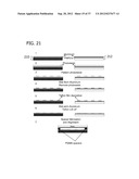 PATTERNING OF ULTRA-LOW REFRACTIVE INDEX HIGH SURFACE AREA NANOPARTICULATE     FILMS diagram and image