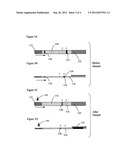 Lateral Flow Immunoassay Controls diagram and image