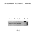 DEVICES AND PROCESSES FOR NUCLEIC ACID EXTRACTION diagram and image