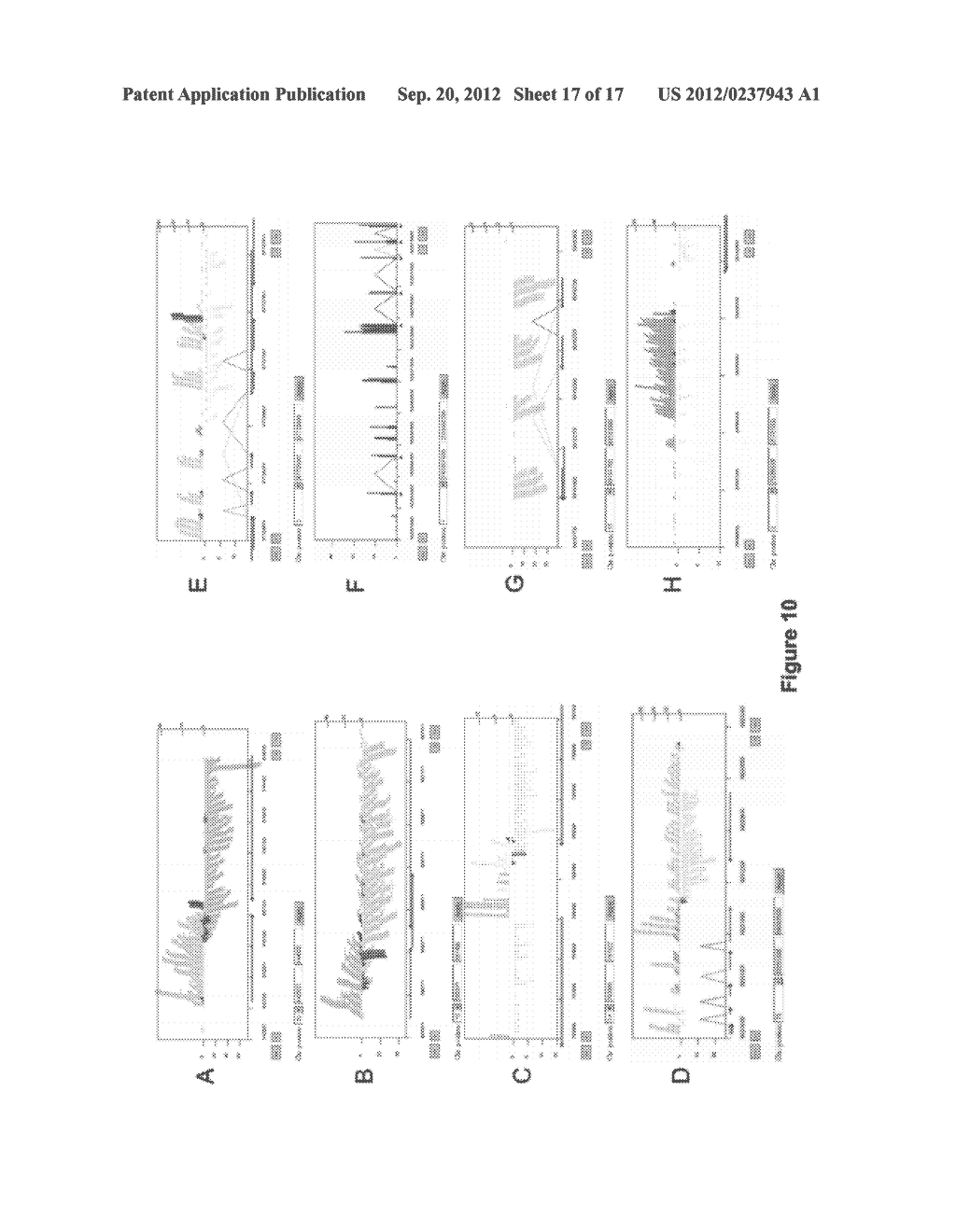 METHOD FOR DIFFERENTIATION OF POLYNUCLEOTIDE STRANDS - diagram, schematic, and image 18