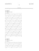 Glutathione S-Transferase Omega 1 Wild Type Specific Antibody diagram and image