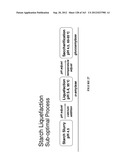 AMYLASES, NUCLEIC ACIDS ENCODING THEM AND METHODS FOR MAKING AND USING     THEM diagram and image