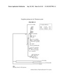 AMYLASES, NUCLEIC ACIDS ENCODING THEM AND METHODS FOR MAKING AND USING     THEM diagram and image