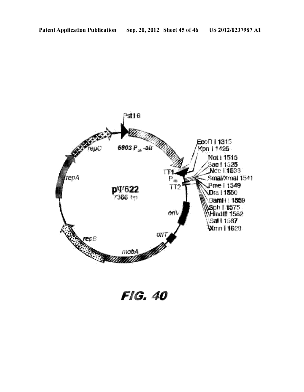 BACTERIUM FOR PRODUCTION OF FATTY ACIDS - diagram, schematic, and image 46