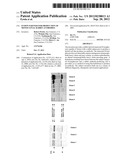 FUSION PARTNER FOR PRODUCTION OF MONOCLONAL RABBIT ANTIBODIES diagram and image