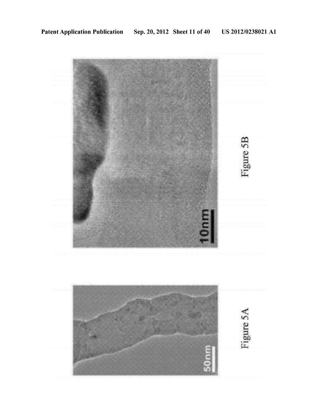 METHODS OF SYNTHESIZING THREE-DIMENSIONAL HETEROATOM-DOPED CARBON NANOTUBE     MACRO MATERIALS AND COMPOSITIONS THEREOF - diagram, schematic, and image 12