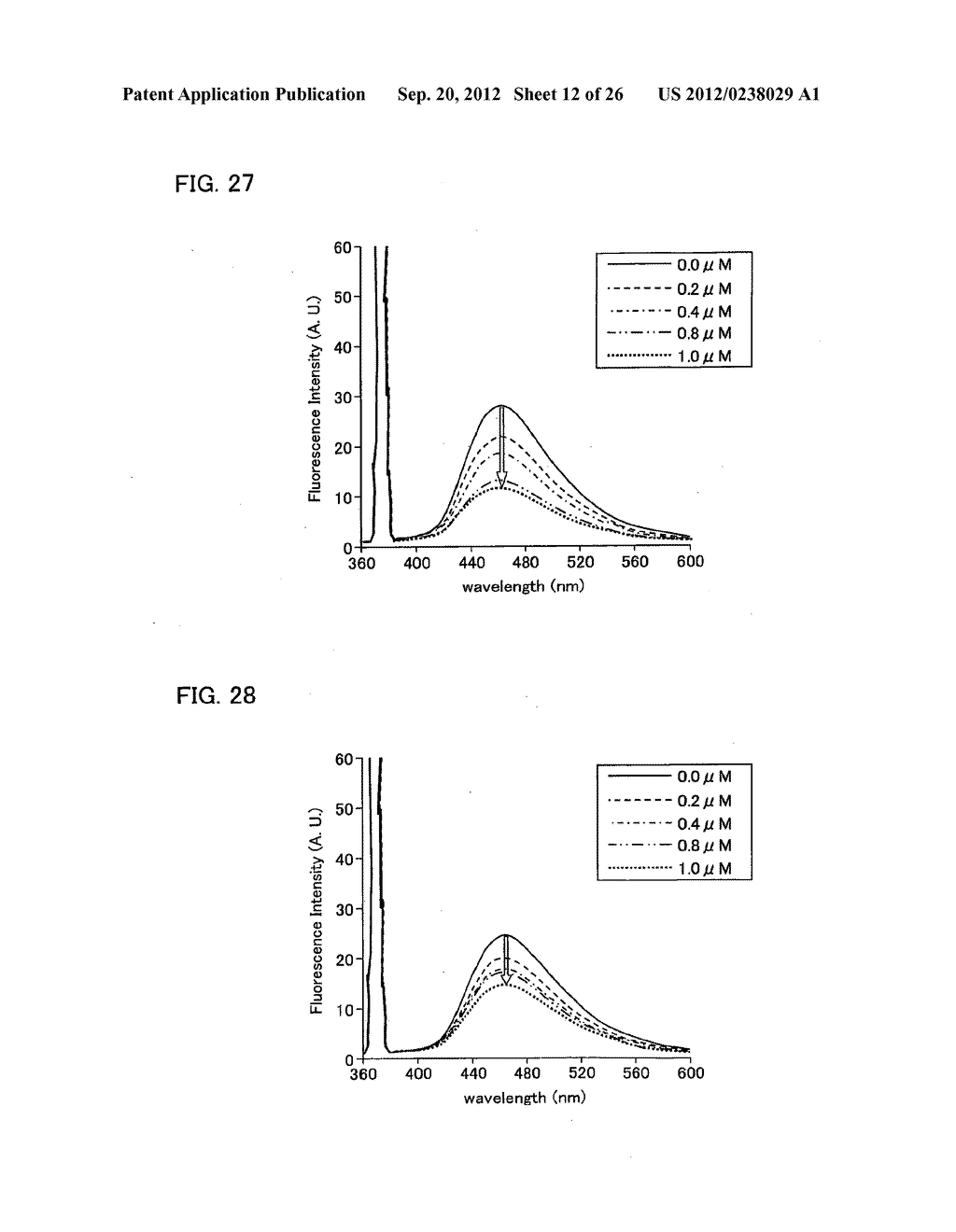 COMPOSITION FOR MEASURING THE BINDING AFFINITY BETWEEN NUCLEIC ACID AND     TEST SUBSTANCE, AND USE THEREOF - diagram, schematic, and image 13