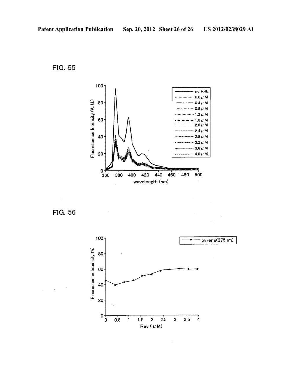 COMPOSITION FOR MEASURING THE BINDING AFFINITY BETWEEN NUCLEIC ACID AND     TEST SUBSTANCE, AND USE THEREOF - diagram, schematic, and image 27