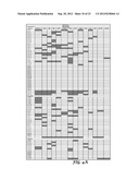 Biomarkers for Predicting the Recurrence of Colorectal Cancer Metastasis diagram and image