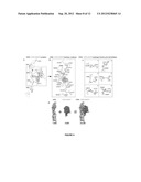 DRUG SCREENING TARGET FOR ALZHEIMER S DISEASE AND METHOD OF SCREENING     POTENTIAL DRUGS diagram and image