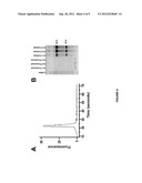 EXOSOME-ASSOCIATED MICRORNA AS A DIAGNOSTIC MARKER diagram and image