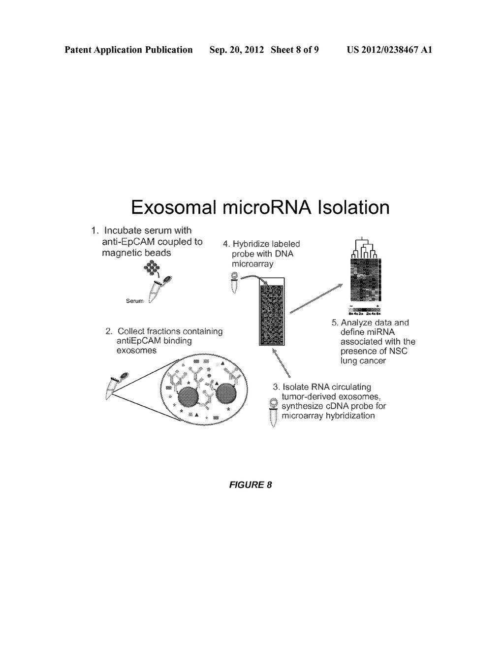 EXOSOME-ASSOCIATED MICRORNA AS A DIAGNOSTIC MARKER - diagram, schematic, and image 09