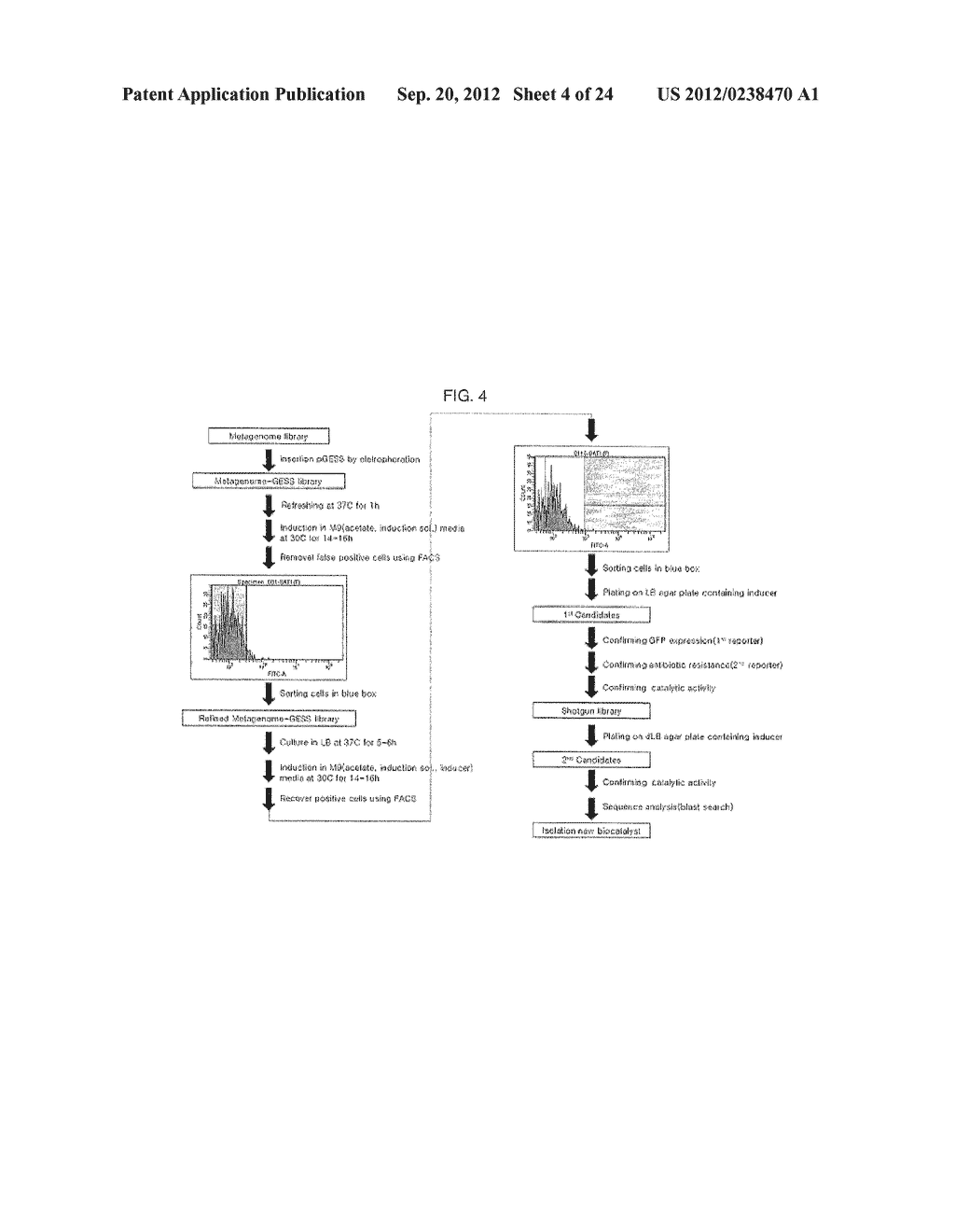 METHOD FOR SCREENING AND QUANTIFYING VARIOUS ENZYME ACTIVITIES USING A     GENETIC ENZYME SCREENING SYSTEM - diagram, schematic, and image 05