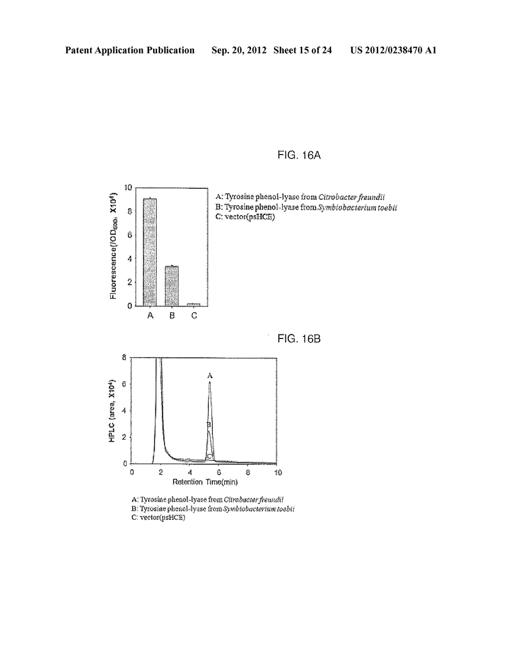 METHOD FOR SCREENING AND QUANTIFYING VARIOUS ENZYME ACTIVITIES USING A     GENETIC ENZYME SCREENING SYSTEM - diagram, schematic, and image 16