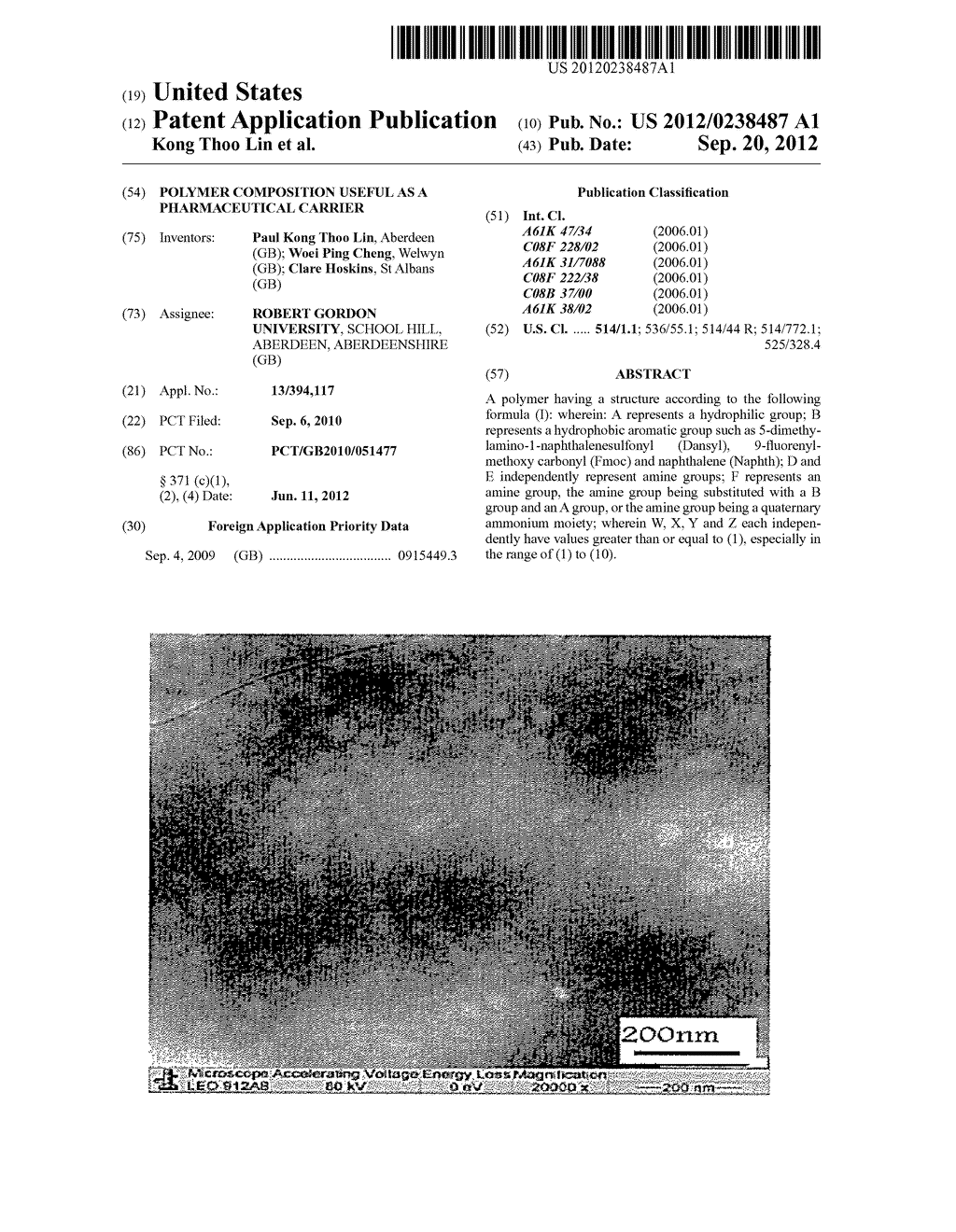 POLYMER COMPOSITION USEFUL AS A PHARMACEUTICAL CARRIER - diagram, schematic, and image 01