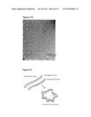 POLYMER COMPOSITION USEFUL AS A PHARMACEUTICAL CARRIER diagram and image