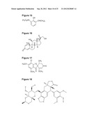 POLYMER COMPOSITION USEFUL AS A PHARMACEUTICAL CARRIER diagram and image