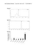 POLYMER COMPOSITION USEFUL AS A PHARMACEUTICAL CARRIER diagram and image