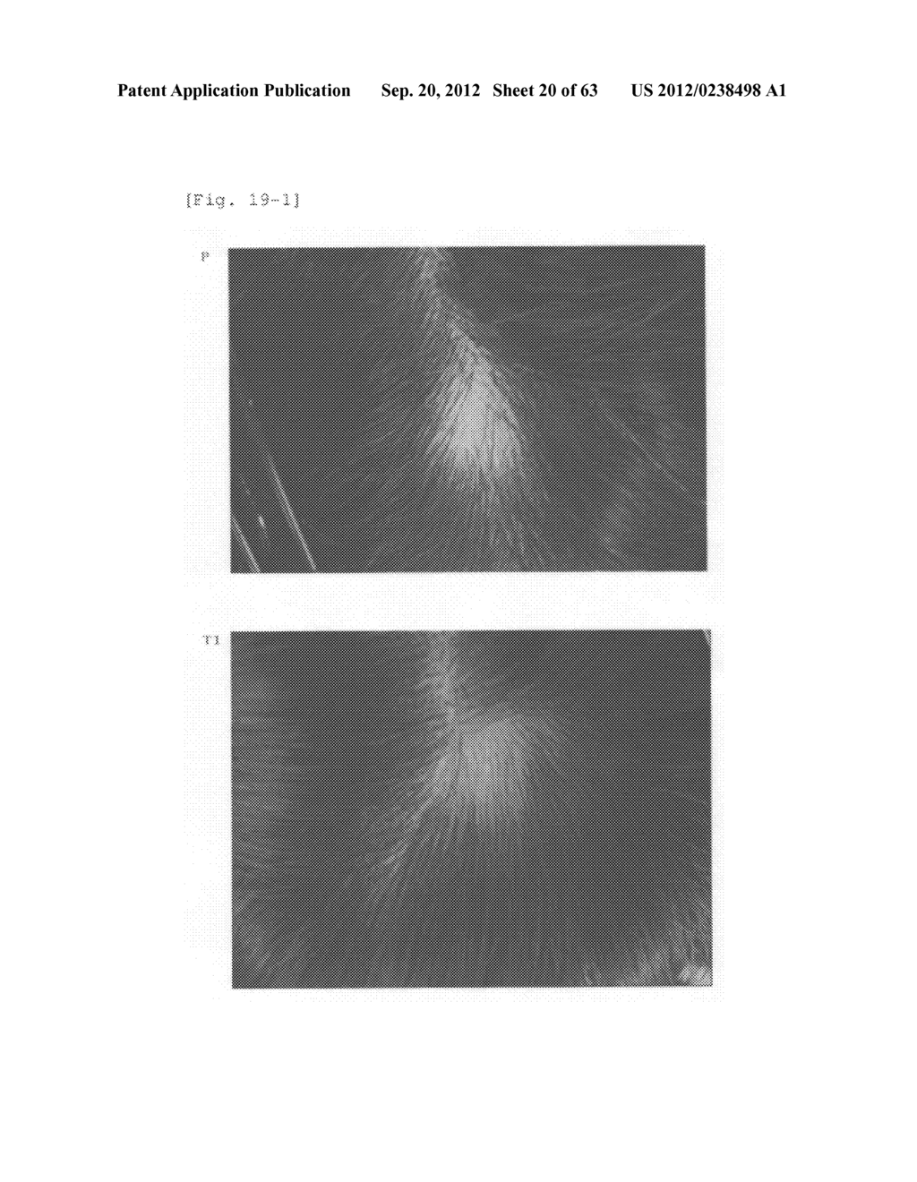 Agent for the treatment of alopecia - diagram, schematic, and image 21