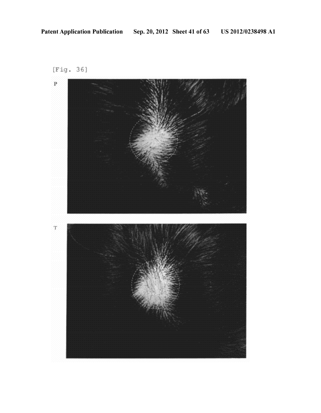 Agent for the treatment of alopecia - diagram, schematic, and image 42