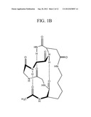 ALPHA HELICAL MIMICS, THEIR USES AND METHODS FOR THEIR PRODUCTION diagram and image