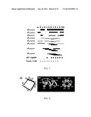 ALPHA HELICAL MIMICS, THEIR USES AND METHODS FOR THEIR PRODUCTION diagram and image