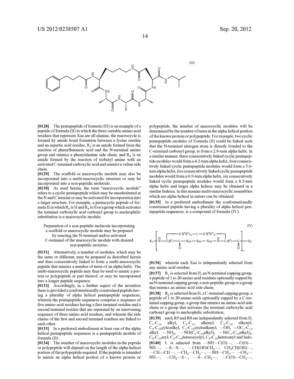 ALPHA HELICAL MIMICS, THEIR USES AND METHODS FOR THEIR PRODUCTION - diagram, schematic, and image 27