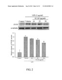 METHOD FOR INHIBITING ACTIVATION OF MACROPHAGES diagram and image