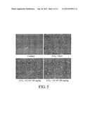 METHOD FOR INHIBITING ACTIVATION OF MACROPHAGES diagram and image