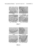 METHOD FOR INHIBITING ACTIVATION OF MACROPHAGES diagram and image