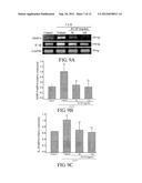 METHOD FOR INHIBITING ACTIVATION OF MACROPHAGES diagram and image