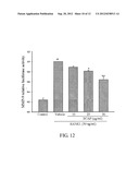 METHOD FOR INHIBITING ACTIVATION OF MACROPHAGES diagram and image