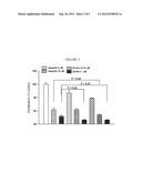 DIAZENIUMDIOLATED COMPOUNDS, PHARMACEUTICAL COMPOSITIONS, AND METHOD OF     TREATING CANCER diagram and image