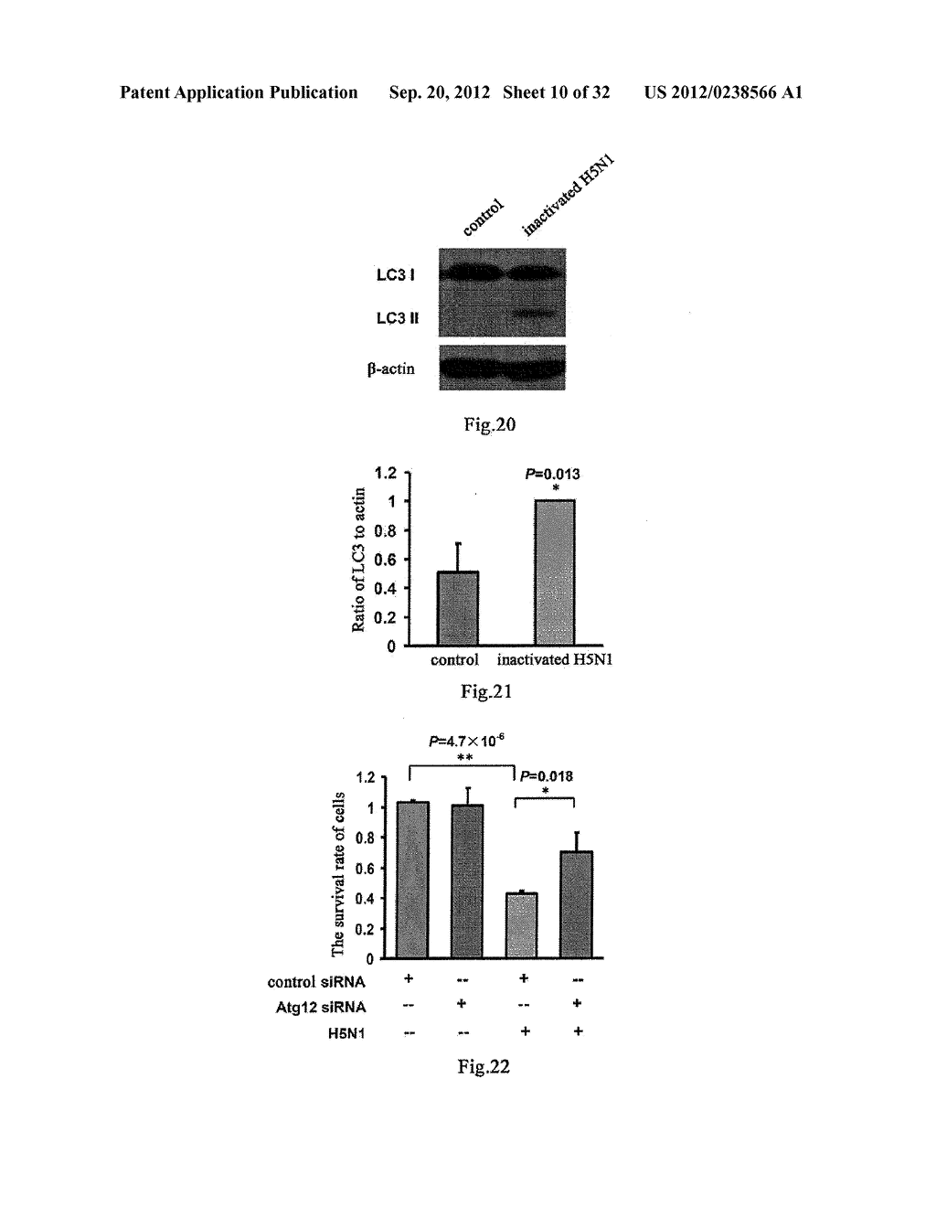 USE OF CELL AUTOPHAGY (TYPE II CELL APOPTOSIS) INHIBITORS - diagram, schematic, and image 11