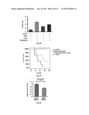 USE OF CELL AUTOPHAGY (TYPE II CELL APOPTOSIS) INHIBITORS diagram and image