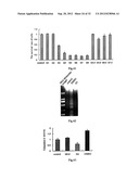 USE OF CELL AUTOPHAGY (TYPE II CELL APOPTOSIS) INHIBITORS diagram and image