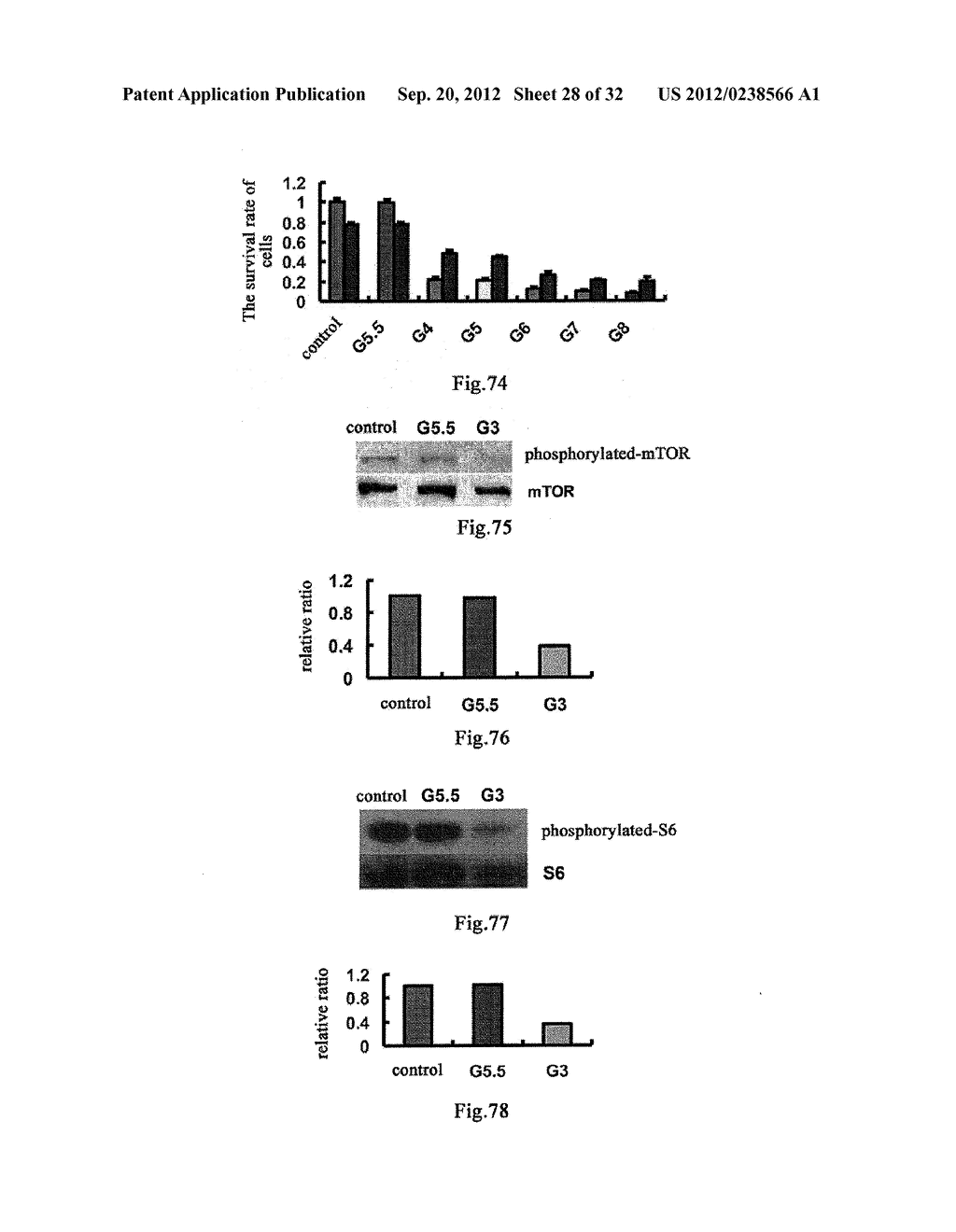 USE OF CELL AUTOPHAGY (TYPE II CELL APOPTOSIS) INHIBITORS - diagram, schematic, and image 29