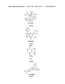 USE OF CELL AUTOPHAGY (TYPE II CELL APOPTOSIS) INHIBITORS diagram and image