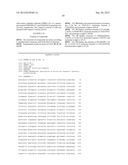 USE OF CELL AUTOPHAGY (TYPE II CELL APOPTOSIS) INHIBITORS diagram and image