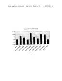 Pharmaceutical Composition Comprising Anti-miRNA Antisense     Oligonucleotides diagram and image