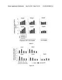 Pharmaceutical Composition Comprising Anti-miRNA Antisense     Oligonucleotides diagram and image