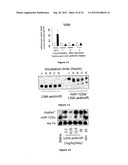 Pharmaceutical Composition Comprising Anti-miRNA Antisense     Oligonucleotides diagram and image