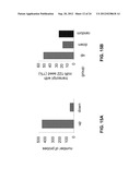 Pharmaceutical Composition Comprising Anti-miRNA Antisense     Oligonucleotides diagram and image