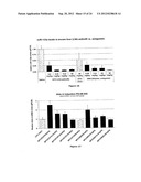 Pharmaceutical Composition Comprising Anti-miRNA Antisense     Oligonucleotides diagram and image