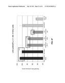 Pharmaceutical Composition Comprising Anti-miRNA Antisense     Oligonucleotides diagram and image