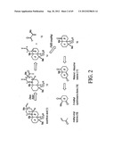 INTERLEUKIN-1 AND TUMOR NECROSIS FACTOR-ALPHA MODULATORS; SYNTHESES OF     SUCH MODULATORS AND METHODS OF USING SUCH MODULATORS diagram and image