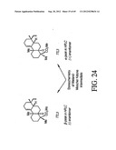 INTERLEUKIN-1 AND TUMOR NECROSIS FACTOR-ALPHA MODULATORS; SYNTHESES OF     SUCH MODULATORS AND METHODS OF USING SUCH MODULATORS diagram and image