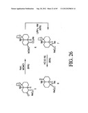 INTERLEUKIN-1 AND TUMOR NECROSIS FACTOR-ALPHA MODULATORS; SYNTHESES OF     SUCH MODULATORS AND METHODS OF USING SUCH MODULATORS diagram and image