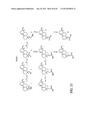 INTERLEUKIN-1 AND TUMOR NECROSIS FACTOR-ALPHA MODULATORS; SYNTHESES OF     SUCH MODULATORS AND METHODS OF USING SUCH MODULATORS diagram and image